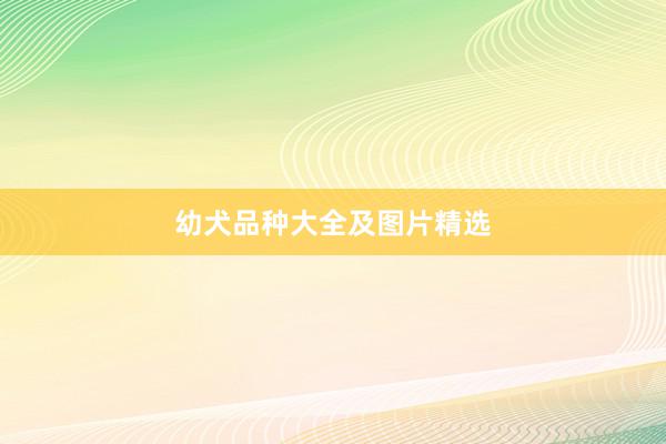 幼犬品种大全及图片精选