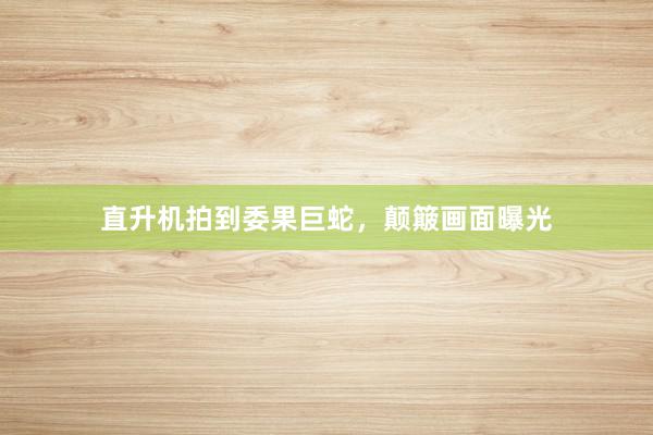 直升机拍到委果巨蛇，颠簸画面曝光