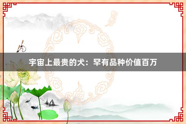 宇宙上最贵的犬：罕有品种价值百万